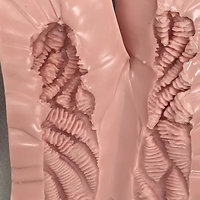 Gynoid Tech Vagina-Insert - Querschnitt (Stand: 06/2019)