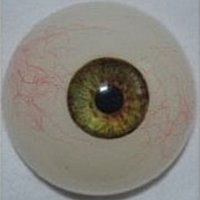 WM Doll green eyes (2014/2015)