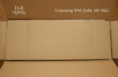 Unboxing WM Dolls 100 Mk2 mit ›Lovely‹-Kopf