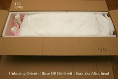 Unboxing Oriental Rose OR156-B mit ›Sara‹ aka ›Alisa‹-Kopf