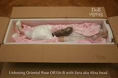 Unboxing Oriental Rose OR156-B mit ›Sara‹ aka ›Alisa‹-Kopf
