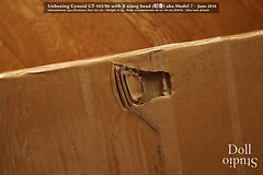Unboxing Gynoid GT-165/86 mit ›Jì Xiāng‹ Kopf (纪香) aka Model 7 - Dollstudio (06/