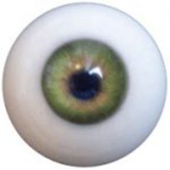 d4e-eye-color-green.jpg