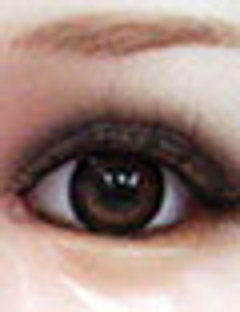ds-eye-brown.jpg