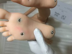 Stehendes Skelett von Jinshan - WM Doll, WM Dolls, YL Doll, OR Doll u.a.