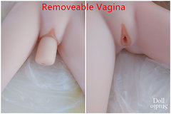 irontech-options-vagina-insert.jpg
