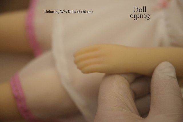 Unboxing WM Dolls 65 mit Lovely-Kopf