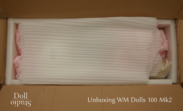 Unboxing WM Dolls 100 Mk2 mit ›Lovely‹-Kopf