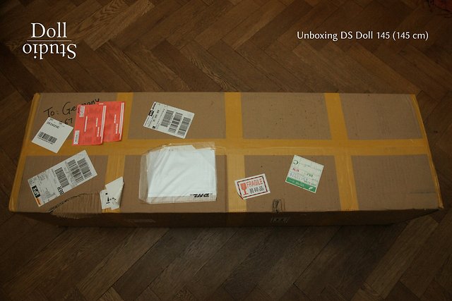 Unboxing DS Doll 145 mit Nina-Kopf