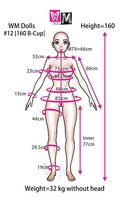 WM Dolls WM-160/B - Körpermaße