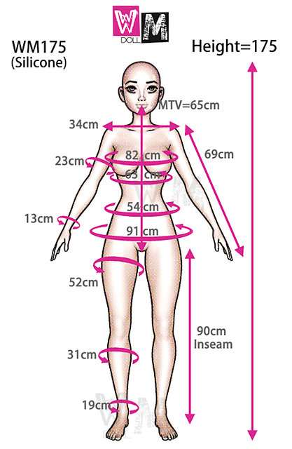 WM Dolls Körperstil WMS-175/D - Körpermaße