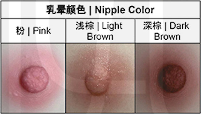 Tayu - Farbe der Brustwarzen (Stand: 06/2021)